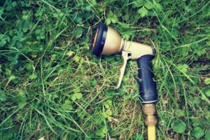 Prato invaso dalle erbacce: ecco la soluzione efficace