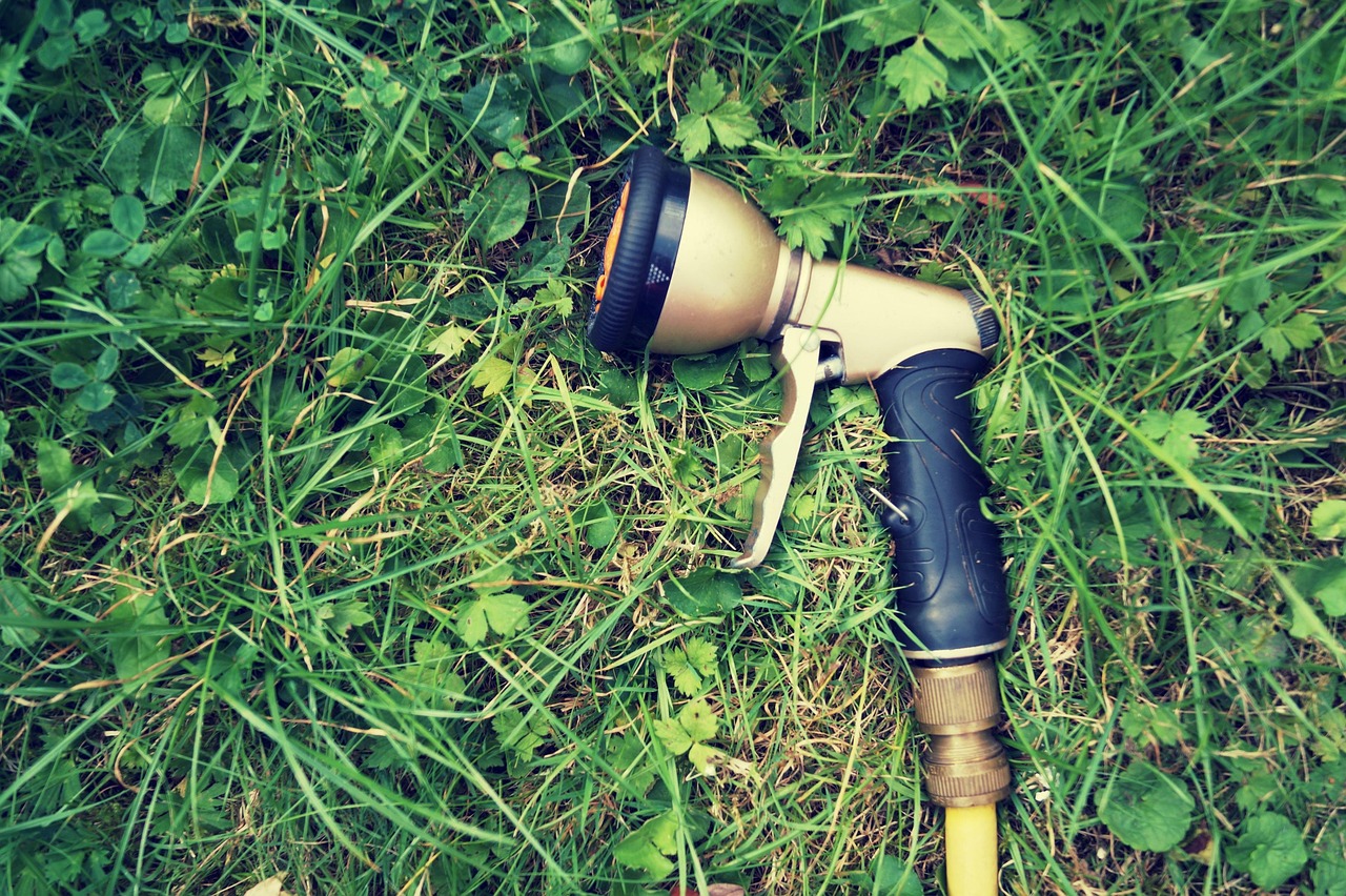 Prato invaso da erbacce con soluzione efficace in evidenza.