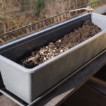 Orto sul balcone con piante fresche e fiori, ideale per il raccolto di marzo.